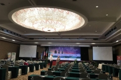 apibf_2019_008
